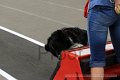 IMG_7948