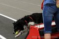 IMG_7949