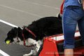 IMG_7950