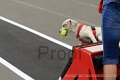 IMG_7954