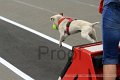 IMG_7955