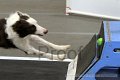 IMG_7987