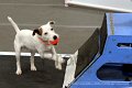 IMG_7993