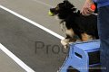 IMG_8002