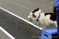 IMG_8008