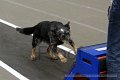 IMG_8036