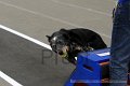 IMG_8038