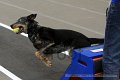 IMG_8039