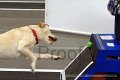 IMG_8055