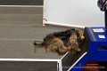 IMG_8058