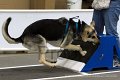 IMG_8099