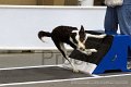 IMG_8103