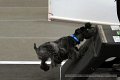 IMG_8125
