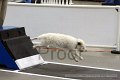 IMG_8149
