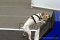 IMG_8165