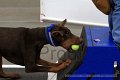 IMG_8169