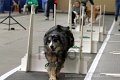 IMG_8219