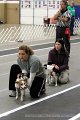 IMG_8224