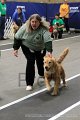 IMG_8225