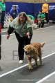 IMG_8226