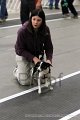 IMG_8228