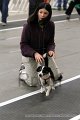 IMG_8229