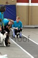 IMG_8234