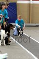 IMG_8235