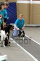 IMG_8236