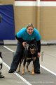 IMG_8237