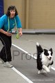IMG_8240