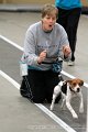 IMG_8242