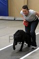 IMG_8253