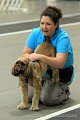 IMG_8260