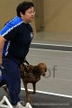 IMG_8281