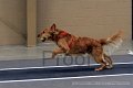 IMG_8287