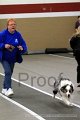 IMG_8299