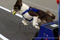 IMG_8336