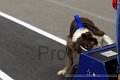 IMG_8340