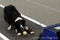 IMG_8345