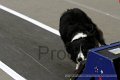 IMG_8347