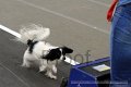 IMG_8352