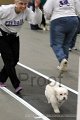 IMG_8377