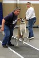 IMG_8378
