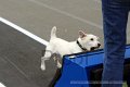 IMG_8390