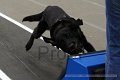 IMG_8403