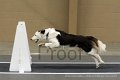 IMG_8432
