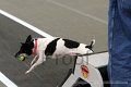 IMG_8470