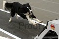 IMG_8500