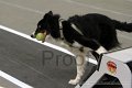 IMG_8504